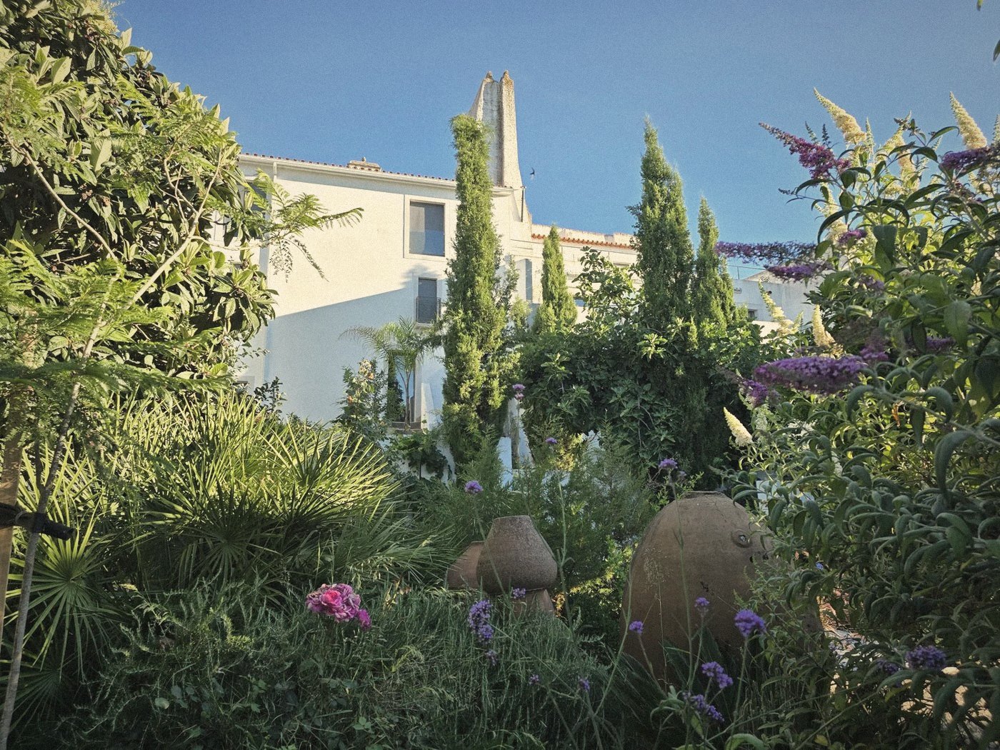 Jardim e casa